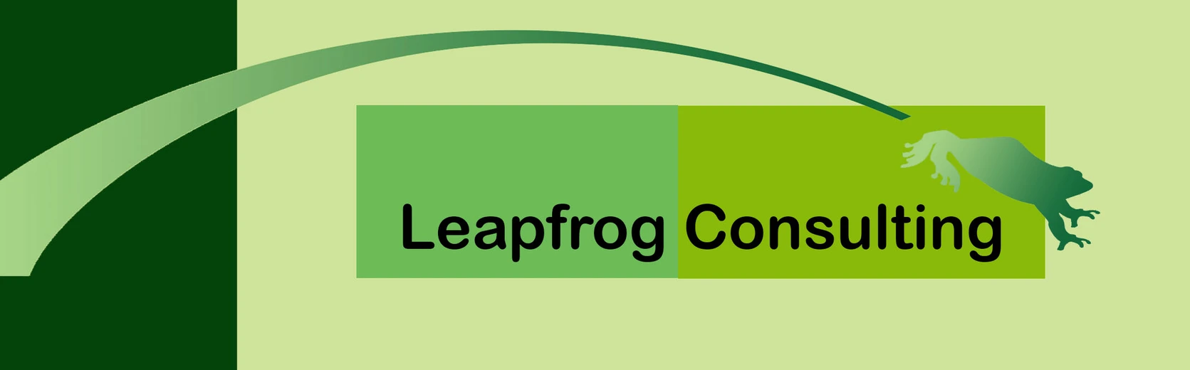 Leapfrog-Consulting